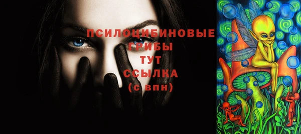 стафф Арсеньев