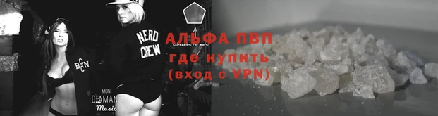 стафф Арсеньев