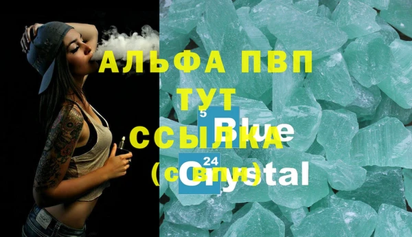 стафф Арсеньев