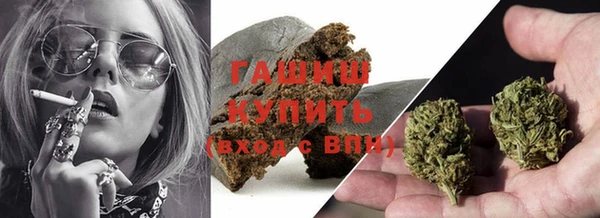 стафф Арсеньев
