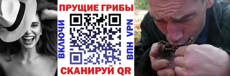 Галлюциногенные грибы мицелий  Пыталово 