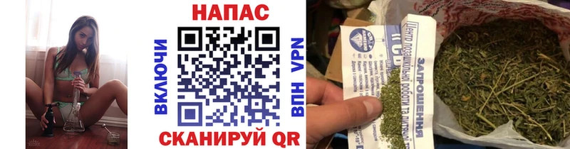 Шишки марихуана ГИДРОПОН  цена   Пыталово 